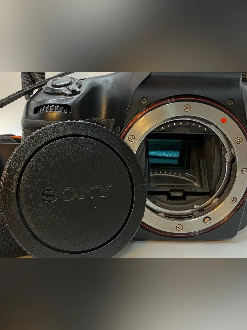 Sony SLT-A65V 24.3 MP Digital SLR with Translucent Mirror Technology - Body Only